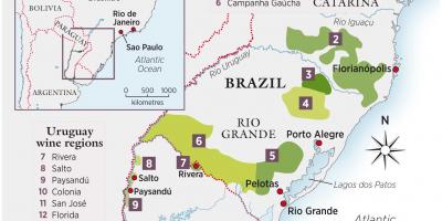 Карта Уругвај вино